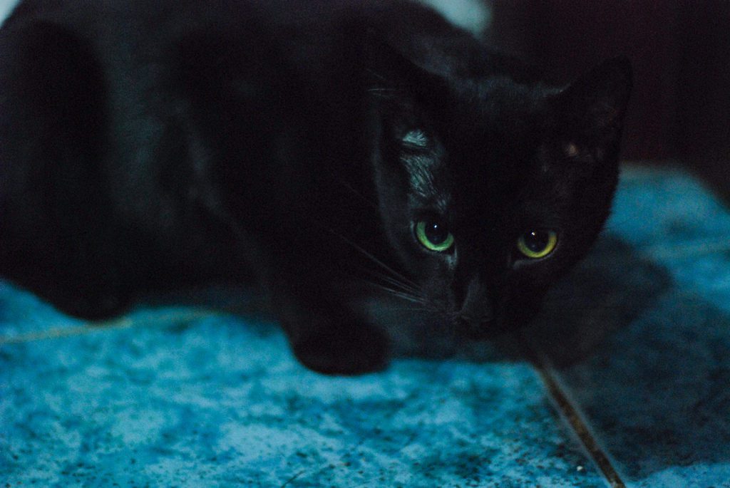 10 Website Design Tips for Small Business Websites