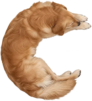 Introducing ChatGPT Images 2.5